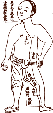 Yin Wei Meridian������ͼ����